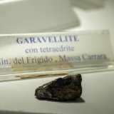 E poi la �garavellite�, piccolo minerale ritrovato in depositi idrotermali di rame e ferro dal professor Garavelli